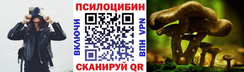 Псилоцибиновые грибы MAGIC MUSHROOMS Домодедово