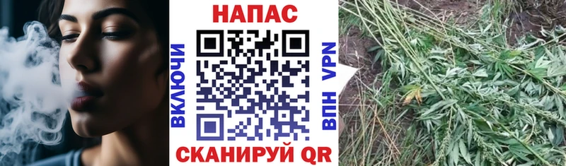 Купить где  Домодедово  Шишки марихуана тримм 